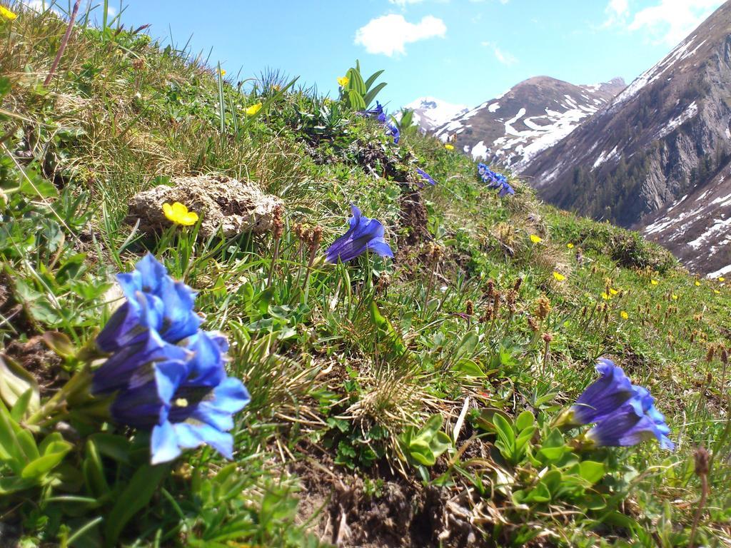 Ferienwohnungen Bailom Elbigenalp Luaran gambar
